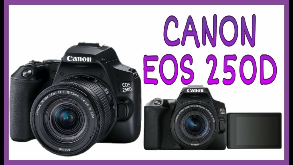 Canon EOS 250D Mejor camara reflex semiprofesional para principiantes