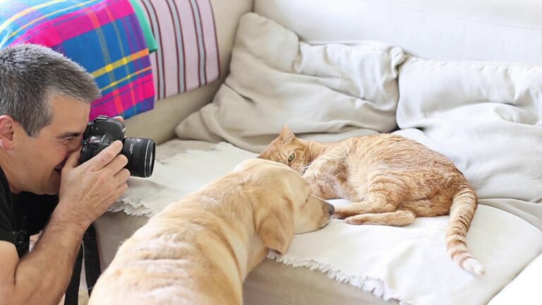 نحوه عکاسی از حیوانات خانگی