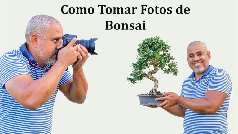 盆栽の撮影方法