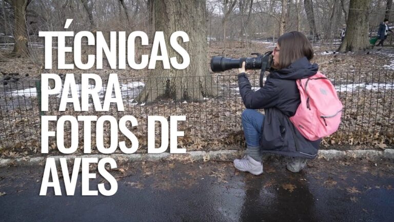 نحوه تنظیم دوربین برای عکاسی از پرندگان