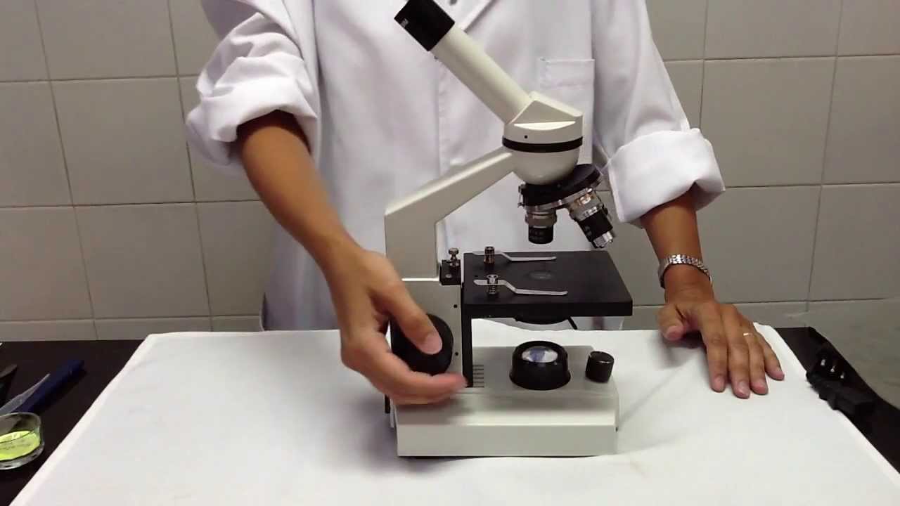 Cómo Fotografiar un Microscopio